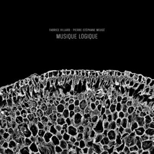 Musique Logique, disque de Fabrice Villard et Pierre-Stéphane Meugé